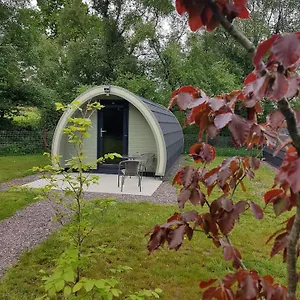 Campsite Mount Hillary Pods, Cork