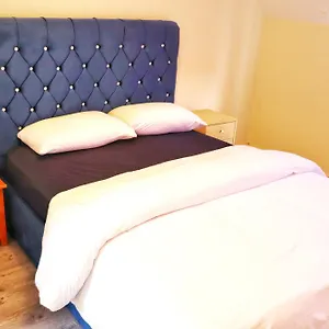 Homestay Deluxe Dwelling - 15 Mins From City/airport, Cork